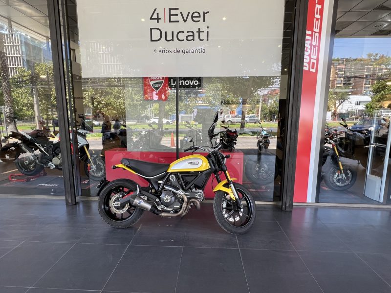 DUCATI    SCRAMBLER  ICON