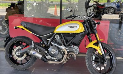 DUCATI    SCRAMBLER  ICON - Imagen 3