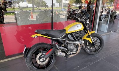 DUCATI    SCRAMBLER  ICON - Imagen 8